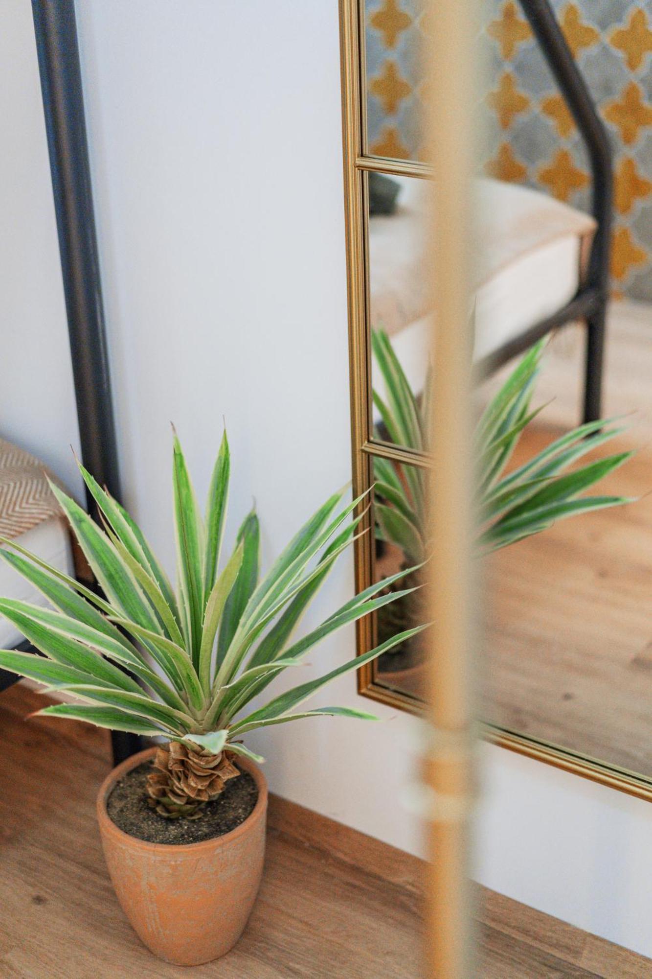 Green Apartments Βιέννη Εξωτερικό φωτογραφία